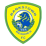 Canterbury Bankstown