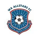 Cape Town ALL Stars logo