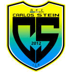 Carlos Stein Logo