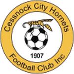 Cessnock City Hornets football.logo
