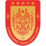 Chongqing Tongliang Long football.logo