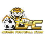 Cooma Tigers FC football.logo
