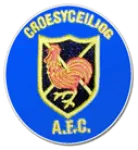 Croesyceiliog AFC