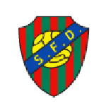 Damaiense W football.logo