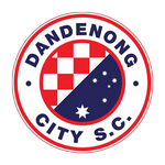 Dandenong City football.logo