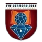 Diamond Rock logo