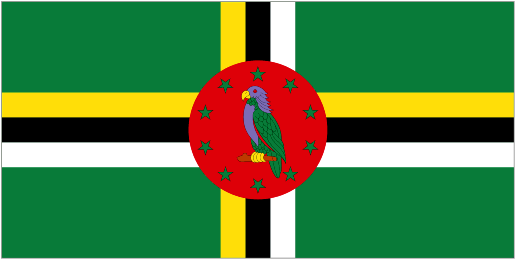 Dominica U20 Logo