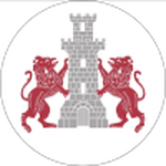 Dunărea Turris Logo