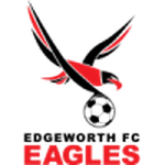 Edgeworth Eagles football.logo