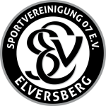 Elversberg U19 Logo