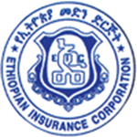 Ethiopian Medhin Logo