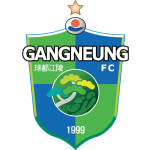 Gangneung City football.logo