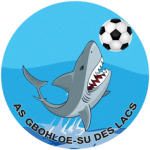 Gbohloé-su des Lacs logo