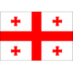 Georgia U21 Logo
