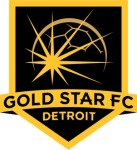Gold Star Logo