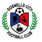Gosnells City football.logo