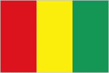 Guinea W Logo