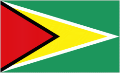 Guyana Logo