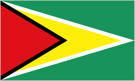 Guyana W Logo