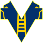 Hellas Verona U20 football.logo