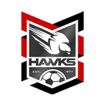 Holland Park Hawks football.logo