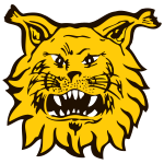 Ilves II football.logo