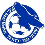Ironi Nesher