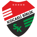 Kocaeli Birlikspor logo