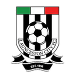 Launceston City football.logo
