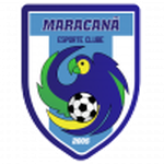 Maracanã football.logo