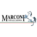 Marconi Stallions football.logo
