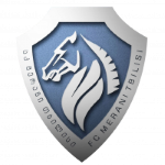 Merani Tbilisi III Logo