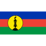 New Caledonia football.logo