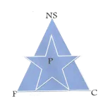New Star logo