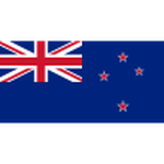 New Zealand football.logo