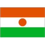 Niger football.logo