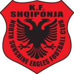 North Sunshine Eagles football.logo