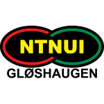 NTNUI Logo