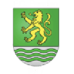 Paradiso football.logo