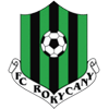 Rokycany Logo