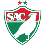 Salgueiro Logo