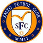 Salto logo
