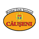 Sinteza Căuşeni logo