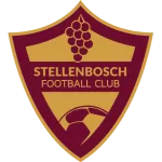 Stellenbosch W logo