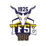 TFSE Budapest logo