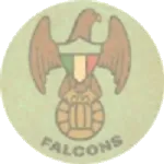Toronto Falcons