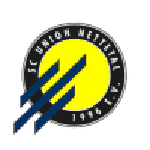 Union Nettetal Logo