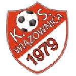 Wiązownica logo
