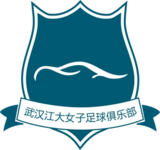Wuhan Jiangda W Logo