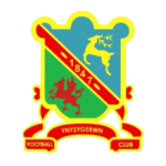 Ynysygerwn Logo